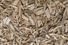 biomass boilers Carwynnen